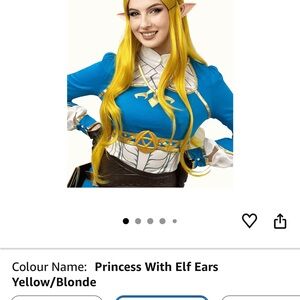 Legend of Zelda wig and ears